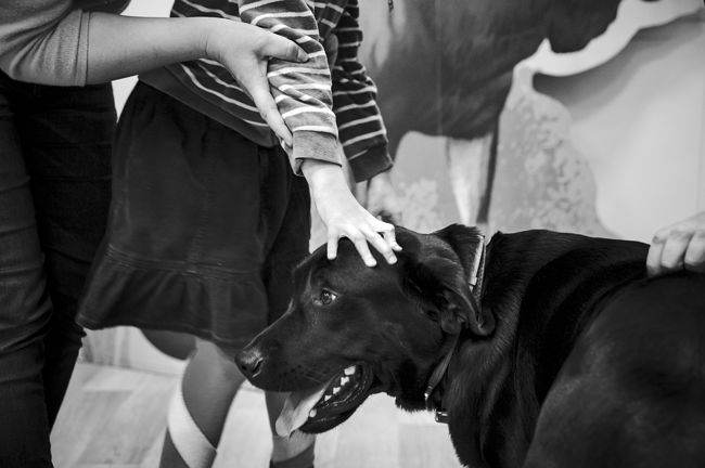 Educational classes for "kids with special needs" in the Moscow Zoo.