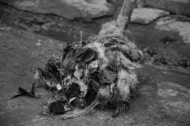 A garden tool after cleaning the shelter: autumn leaves mixed with dog hair.