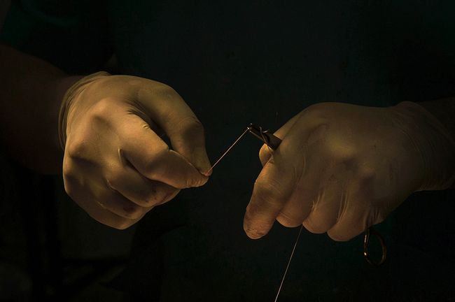 Hands of a veterinarian. Doctor Mikhail Shelyakov at work.