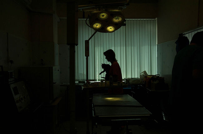 Veterinarian with a cat in the hands in front of a window in the operating room.