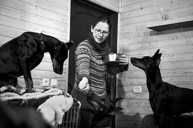 The dogs usually get treat from Tanya’s hands