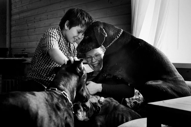 Tanya, Vanya, Dobermans Harwent and Caesar, English Bulldog Eva (recently Eva moved to Tanya’s mom)