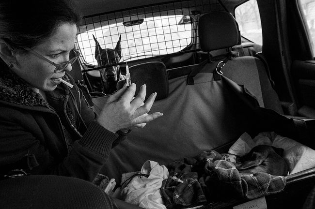 On the way to the clinic. Tanya is ready to inject Mickey, a puppy with a brain injury. In the background there is Caesar, he usually accompanies Tanya on her trips.