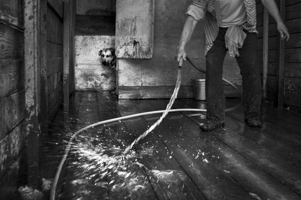 Cleaning the enclosure.