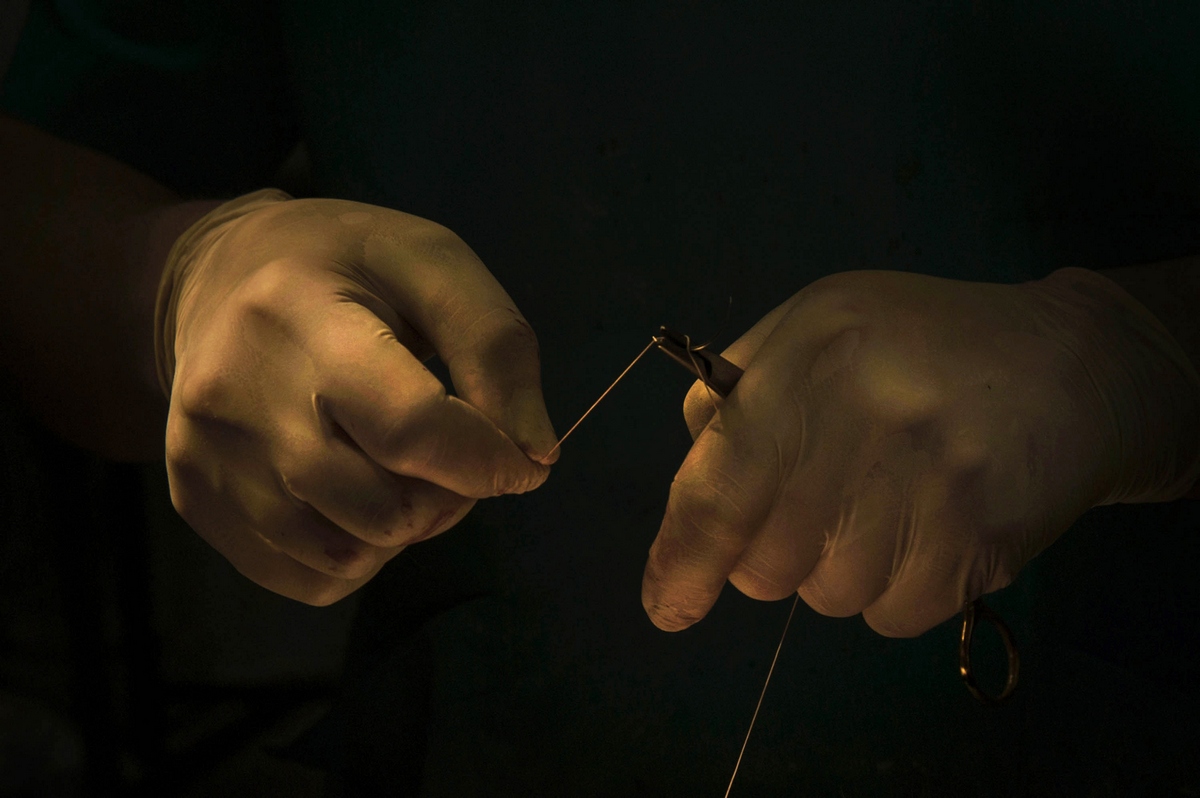 raisa mikhaylova . art of healing. Hands of a veterinarian. Doctor Mikhail Shelyakov at work.